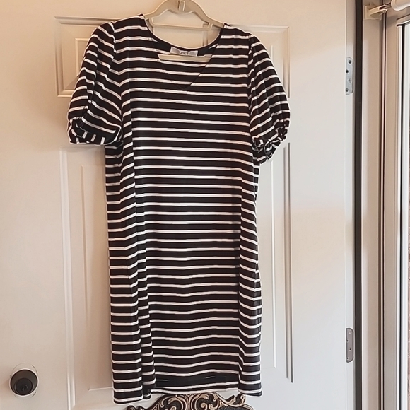 Loft Knit Swing Dress - Picture 4 of 4